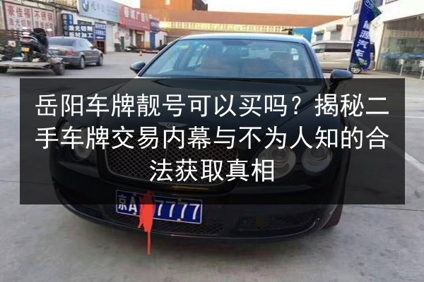 岳阳车牌靓号可以买吗？揭秘二手车牌交易内幕与不为人知的合法获取真相 第1张