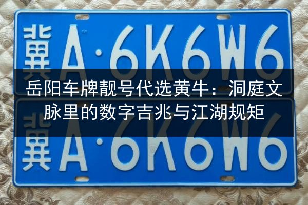 岳阳车牌靓号代选黄牛：洞庭文脉里的数字吉兆与江湖规矩