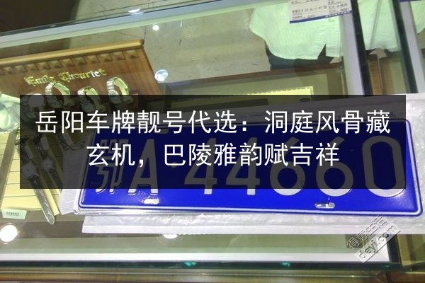 岳阳车牌靓号代选：洞庭风骨藏玄机，巴陵雅韵赋吉祥