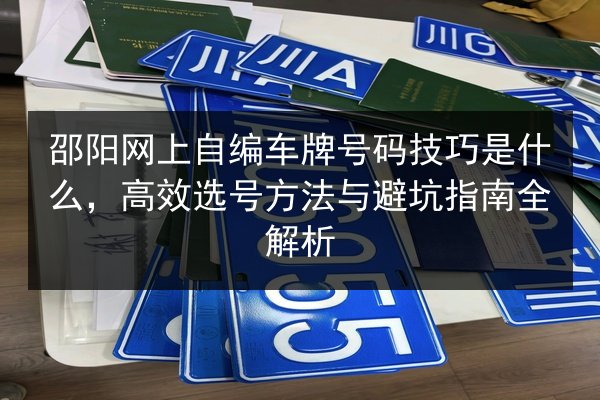 邵阳网上自编车牌号码技巧是什么，高效选号方法与避坑指南全解析