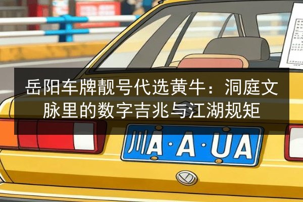 岳阳车牌靓号代选黄牛：洞庭文脉里的数字吉兆与江湖规矩 第2张