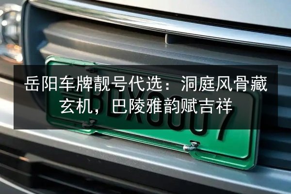 岳阳车牌靓号代选：洞庭风骨藏玄机，巴陵雅韵赋吉祥 第2张