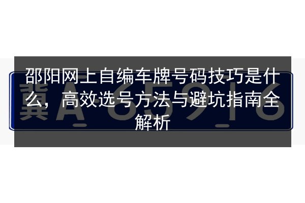 邵阳网上自编车牌号码技巧是什么，高效选号方法与避坑指南全解析 第2张