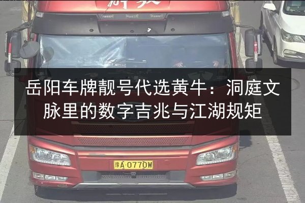 岳阳车牌靓号代选黄牛：洞庭文脉里的数字吉兆与江湖规矩 第3张