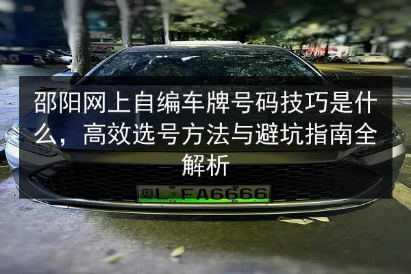 邵阳网上自编车牌号码技巧是什么，高效选号方法与避坑指南全解析 第3张