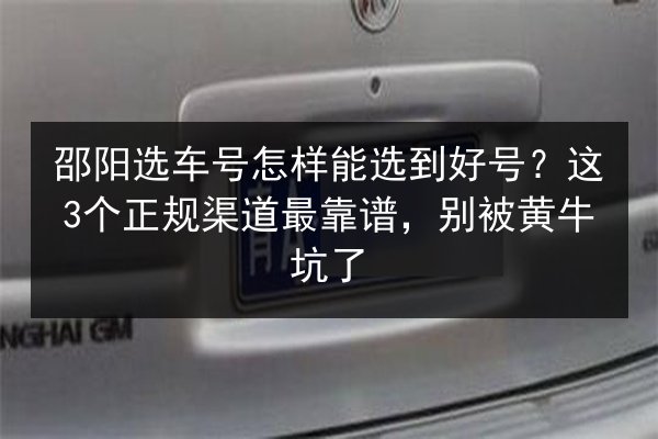 邵阳选车号怎样能选到好号？这3个正规渠道最靠谱，别被黄牛坑了 第2张
