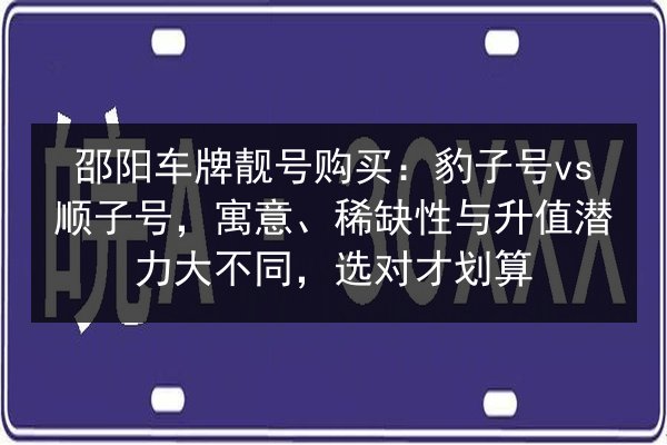 邵阳车牌靓号购买：豹子号vs顺子号，寓意、稀缺性与升值潜力大不同，选对才划算