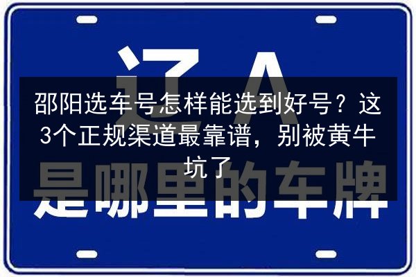 邵阳选车号怎样能选到好号？这3个正规渠道最靠谱，别被黄牛坑了 第3张