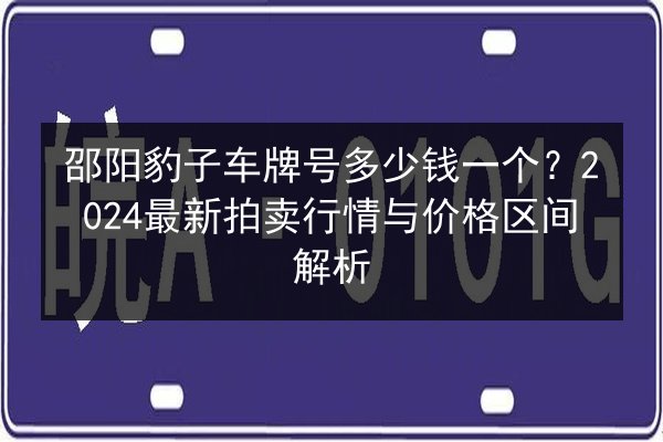 邵阳豹子车牌号多少钱一个？2024最新拍卖行情与价格区间解析 第2张