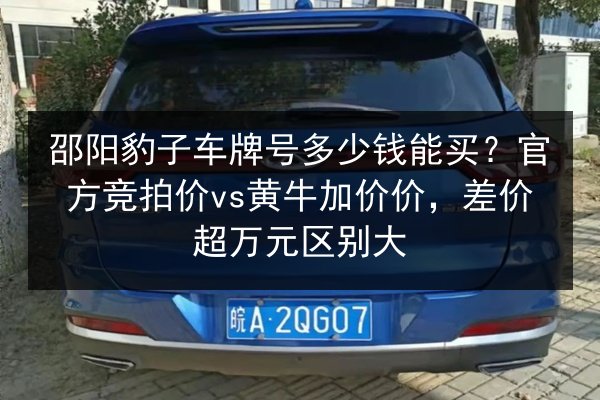 邵阳豹子车牌号多少钱能买?官方竞拍价vs黄牛加价价,差价超万元区别大 第3张 邵阳豹子车牌号多少钱能买?官方竞拍价vs黄牛加价价,差价超万元区别大 第3张