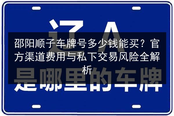 邵阳顺子车牌号多少钱能买？官方渠道费用与私下交易风险全解析 第3张