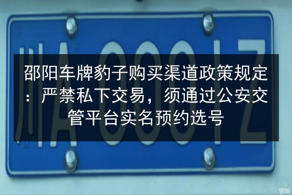 邵阳车牌豹子购买渠道政策规定：严禁私下交易，须通过公安交管平台实名预约选号 第3张