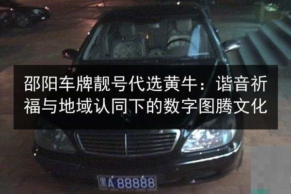 邵阳车牌靓号代选黄牛：谐音祈福与地域认同下的数字图腾文化 第2张