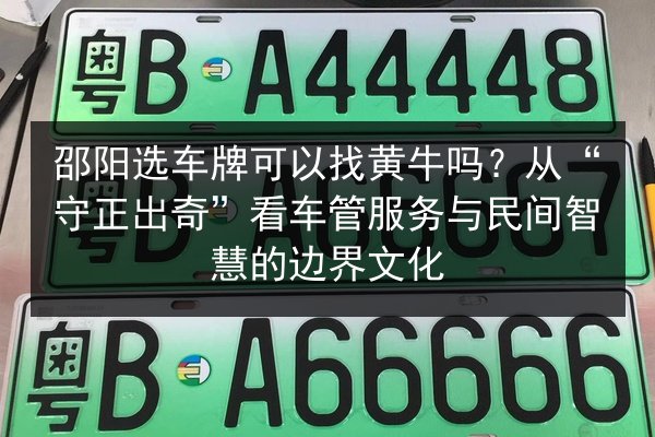 邵阳选车牌可以找黄牛吗？从“守正出奇”看车管服务与民间智慧的边界文化 第2张
