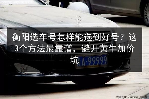 衡阳选车号怎样能选到好号？这3个方法最靠谱，避开黄牛加价坑 第2张