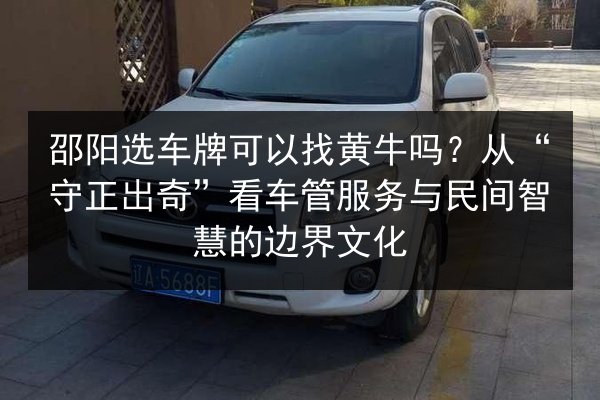 邵阳选车牌可以找黄牛吗？从“守正出奇”看车管服务与民间智慧的边界文化 第3张