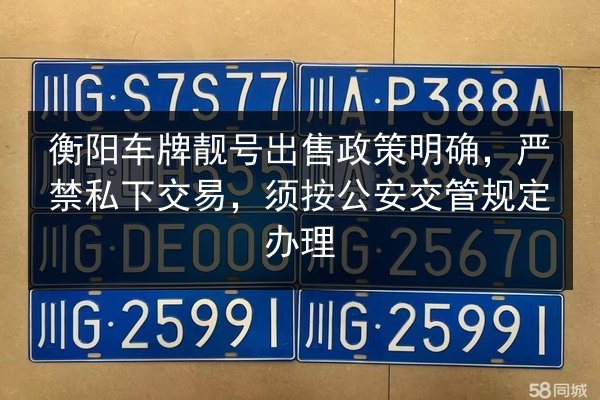 衡阳车牌靓号出售政策明确，严禁私下交易，须按公安交管规定办理 第2张