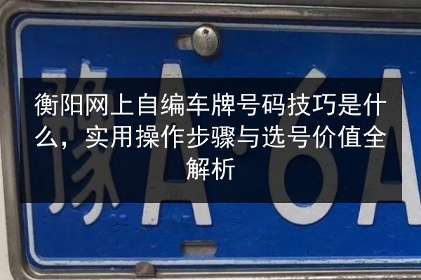 衡阳网上自编车牌号码技巧是什么，实用操作步骤与选号价值全解析 第3张