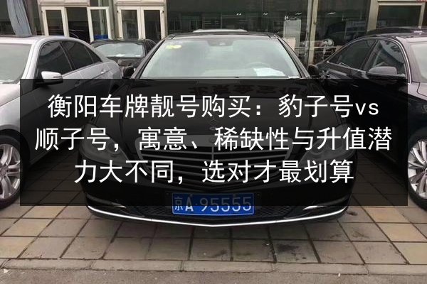 衡阳车牌靓号购买:豹子号vs顺子号,寓意、稀缺性与升值潜力大不同,选对才最划算 第3张 衡阳车牌靓号购买:豹子号vs顺子号,寓意、稀缺性与升值潜力大不同,选对才最划算 第3张