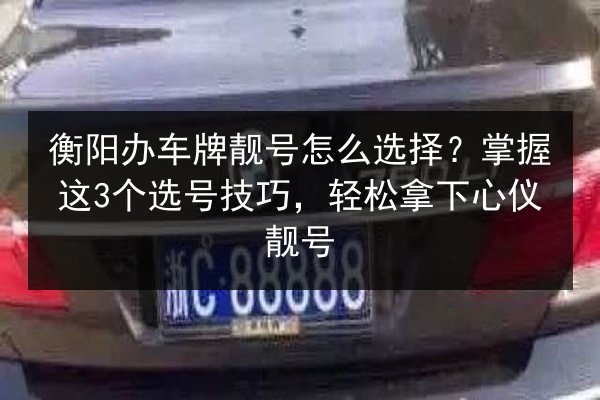 衡阳办车牌靓号怎么选择？掌握这3个选号技巧，轻松拿下心仪靓号 第2张