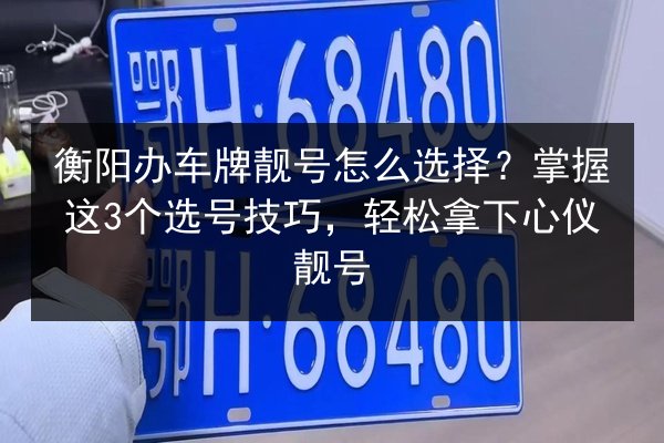 衡阳办车牌靓号怎么选择？掌握这3个选号技巧，轻松拿下心仪靓号 第3张