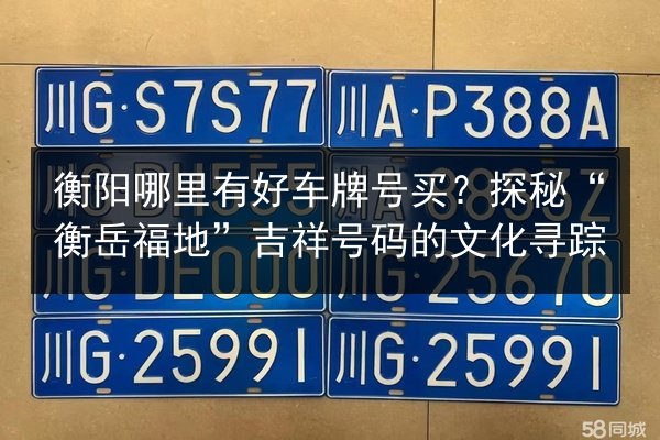 衡阳哪里有好车牌号买?探秘“衡岳福地”吉祥号码的文化寻踪 第3张 衡阳哪里有好车牌号买?探秘“衡岳福地”吉祥号码的文化寻踪 第3张