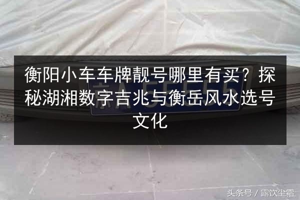 衡阳小车车牌靓号哪里有买？探秘湖湘数字吉兆与衡岳风水选号文化 第2张