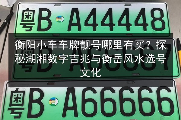 衡阳小车车牌靓号哪里有买？探秘湖湘数字吉兆与衡岳风水选号文化 第3张
