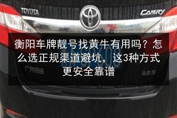 衡阳车牌靓号找黄牛有用吗?怎么选正规渠道避坑,这3种方式更安全靠谱 第3张 衡阳车牌靓号找黄牛有用吗?怎么选正规渠道避坑,这3种方式更安全靠谱 第3张