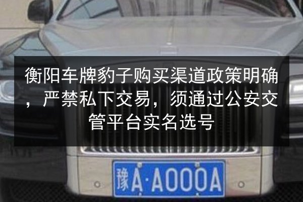 衡阳车牌豹子购买渠道政策明确,严禁私下交易,须通过公安交管平台实名选号 第2张 衡阳车牌豹子购买渠道政策明确,严禁私下交易,须通过公安交管平台实名选号 第2张