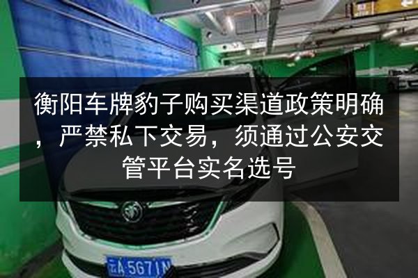 衡阳车牌豹子购买渠道政策明确,严禁私下交易,须通过公安交管平台实名选号 第3张 衡阳车牌豹子购买渠道政策明确,严禁私下交易,须通过公安交管平台实名选号 第3张