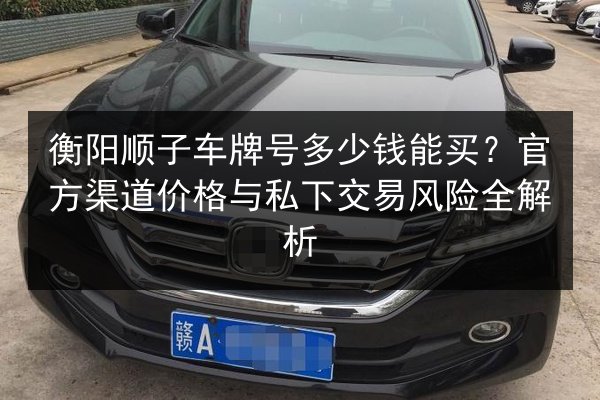 衡阳顺子车牌号多少钱能买？官方渠道价格与私下交易风险全解析 第3张