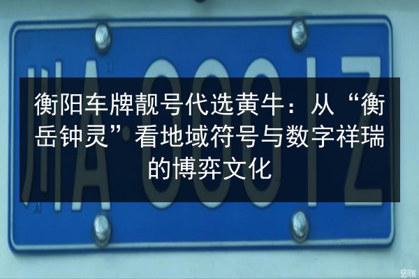 衡阳车牌靓号代选黄牛：从“衡岳钟灵”看地域符号与数字祥瑞的博弈文化 第3张