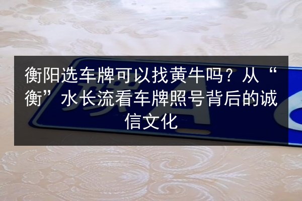 衡阳选车牌可以找黄牛吗?从“衡”水长流看车牌照号背后的诚信文化 第2张 衡阳选车牌可以找黄牛吗?从“衡”水长流看车牌照号背后的诚信文化 第2张