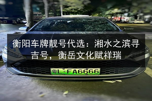 衡阳车牌靓号代选：湘水之滨寻吉号，衡岳文化赋祥瑞 第3张