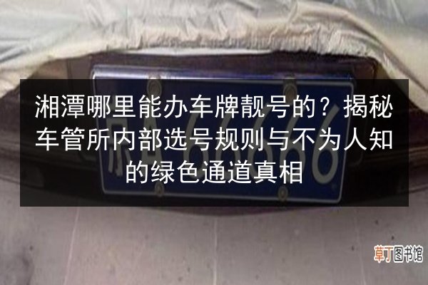 湘潭哪里能办车牌靓号的?揭秘车管所内部选号规则与不为人知的绿色通道真相 第3张 湘潭哪里能办车牌靓号的?揭秘车管所内部选号规则与不为人知的绿色通道真相 第3张