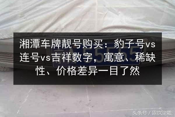 湘潭车牌靓号购买：豹子号vs连号vs吉祥数字，寓意、稀缺性、价格差异一目了然 第2张