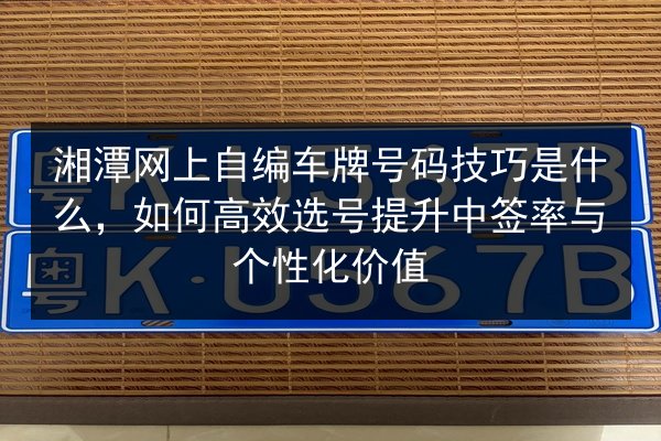 湘潭网上自编车牌号码技巧是什么，如何高效选号提升中签率与个性化价值 第3张