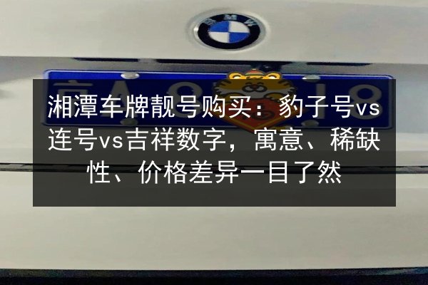湘潭车牌靓号购买：豹子号vs连号vs吉祥数字，寓意、稀缺性、价格差异一目了然 第3张