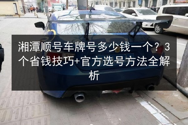 湘潭顺号车牌号多少钱一个？3个省钱技巧+官方选号方法全解析 第3张
