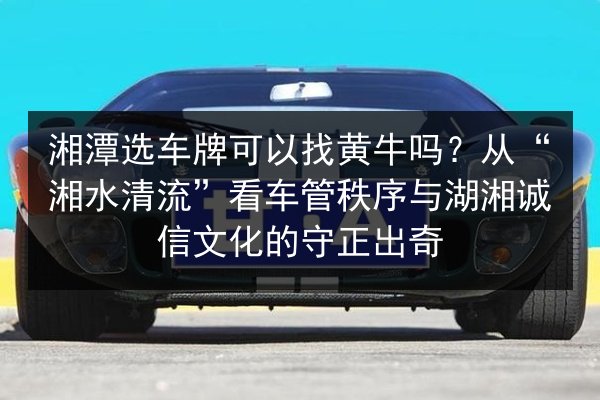 湘潭选车牌可以找黄牛吗？从“湘水清流”看车管秩序与湖湘诚信文化的守正出奇 第2张