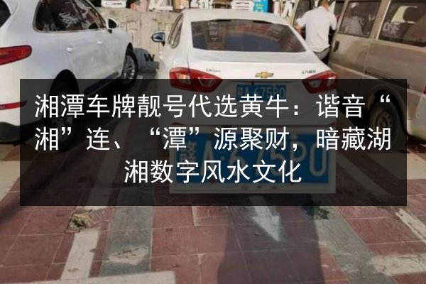 湘潭车牌靓号代选黄牛:谐音“湘”连、“潭”源聚财,暗藏湖湘数字风水文化 第2张 湘潭车牌靓号代选黄牛:谐音“湘”连、“潭”源聚财,暗藏湖湘数字风水文化 第2张