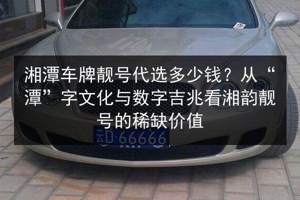 湘潭车牌靓号代选多少钱?从“潭”字文化与数字吉兆看湘韵靓号的稀缺价值 第3张 湘潭车牌靓号代选多少钱?从“潭”字文化与数字吉兆看湘韵靓号的稀缺价值 第3张