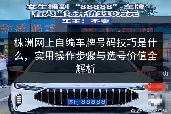 株洲网上自编车牌号码技巧是什么，实用操作步骤与选号价值全解析 第2张