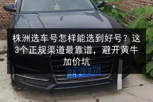 株洲选车号怎样能选到好号？这3个正规渠道最靠谱，避开黄牛加价坑 第1张