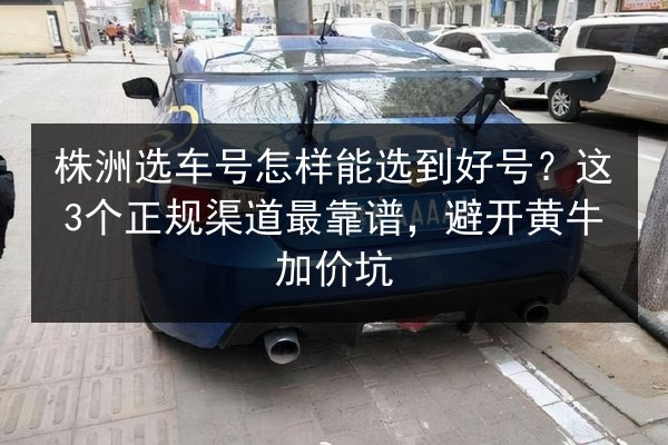 株洲选车号怎样能选到好号？这3个正规渠道最靠谱，避开黄牛加价坑 第2张