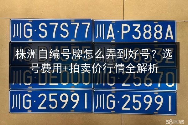 株洲自编号牌怎么弄到好号？选号费用+拍卖价行情全解析 第2张