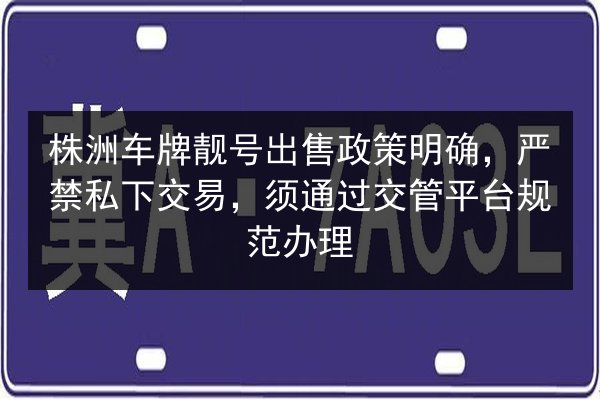 株洲车牌靓号出售政策明确,严禁私下交易,须通过交管平台规范办理 第2张 株洲车牌靓号出售政策明确,严禁私下交易,须通过交管平台规范办理 第2张