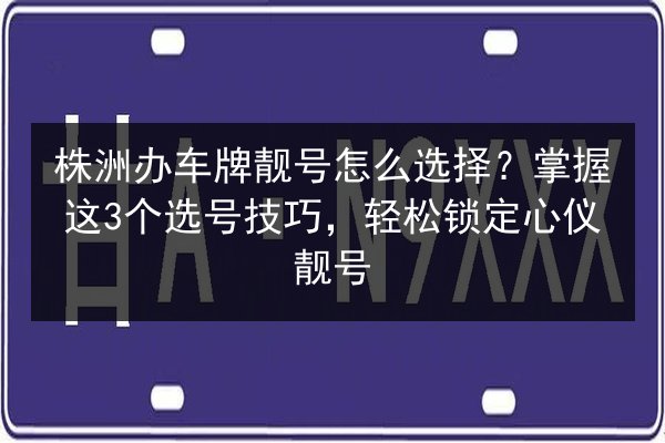 株洲办车牌靓号怎么选择?掌握这3个选号技巧,轻松锁定心仪靓号 第2张 株洲办车牌靓号怎么选择?掌握这3个选号技巧,轻松锁定心仪靓号 第2张