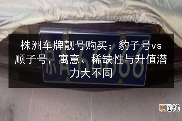 株洲车牌靓号购买：豹子号vs顺子号，寓意、稀缺性与升值潜力大不同 第2张
